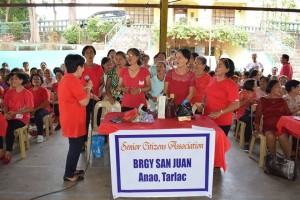 MUNICIPAL ELDERLY FILIPINO WEEK CELEBRATION (7)